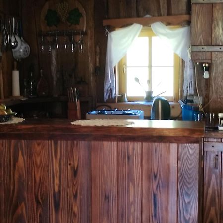 Vacation House Spiritus Flumine Netretic Bagian luar foto