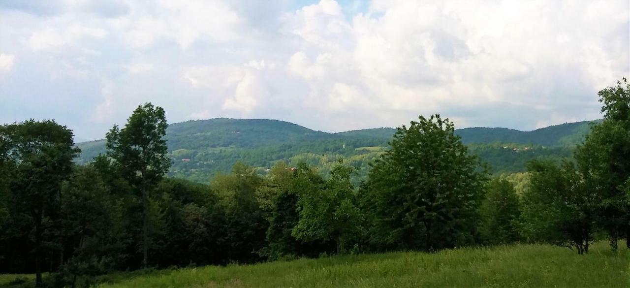 Vacation House Spiritus Flumine Netretic Bagian luar foto